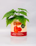 Tomato Can Ceramic Planter